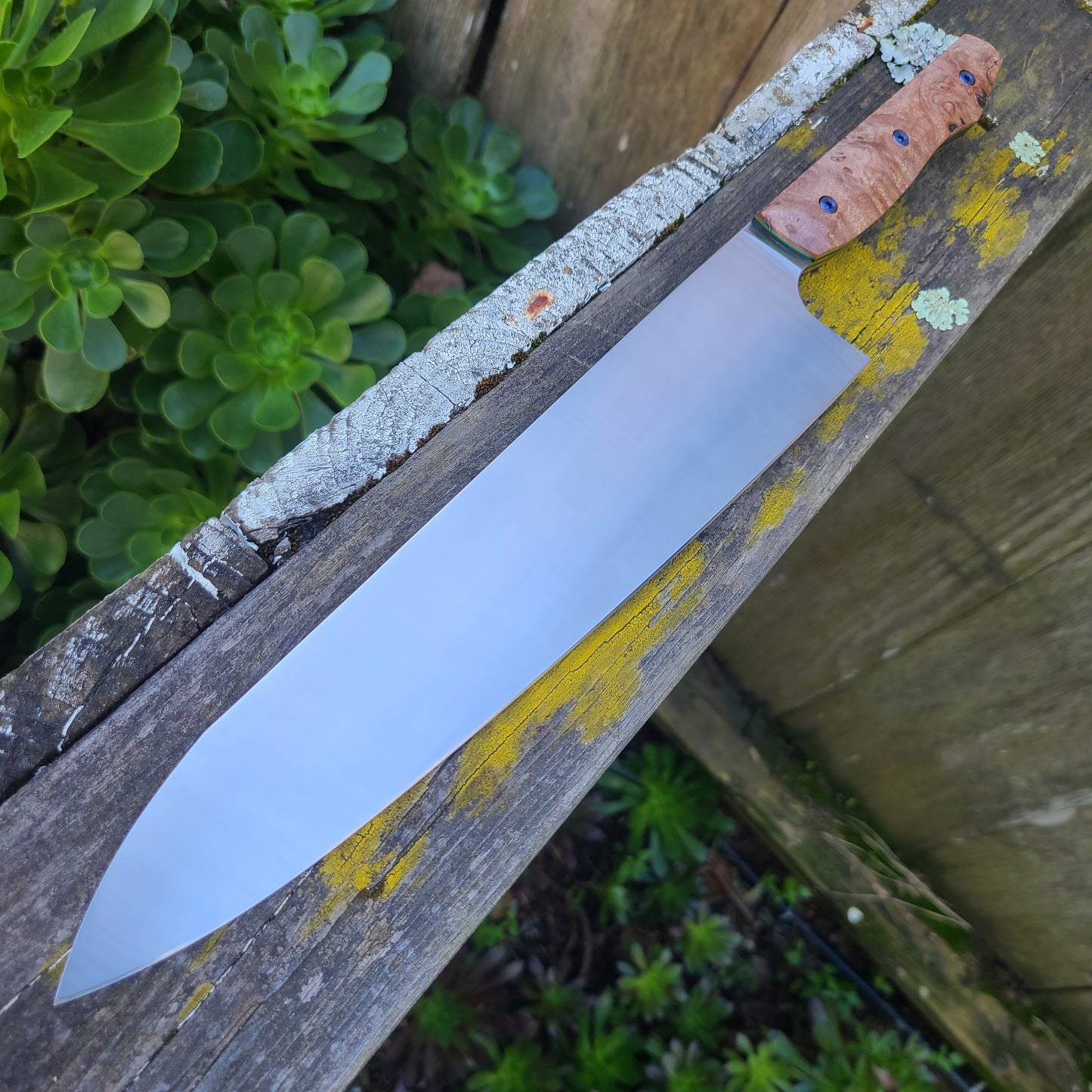 Meglio Knives Semi Custom 10" Satin Maple Magnacut Gyuto