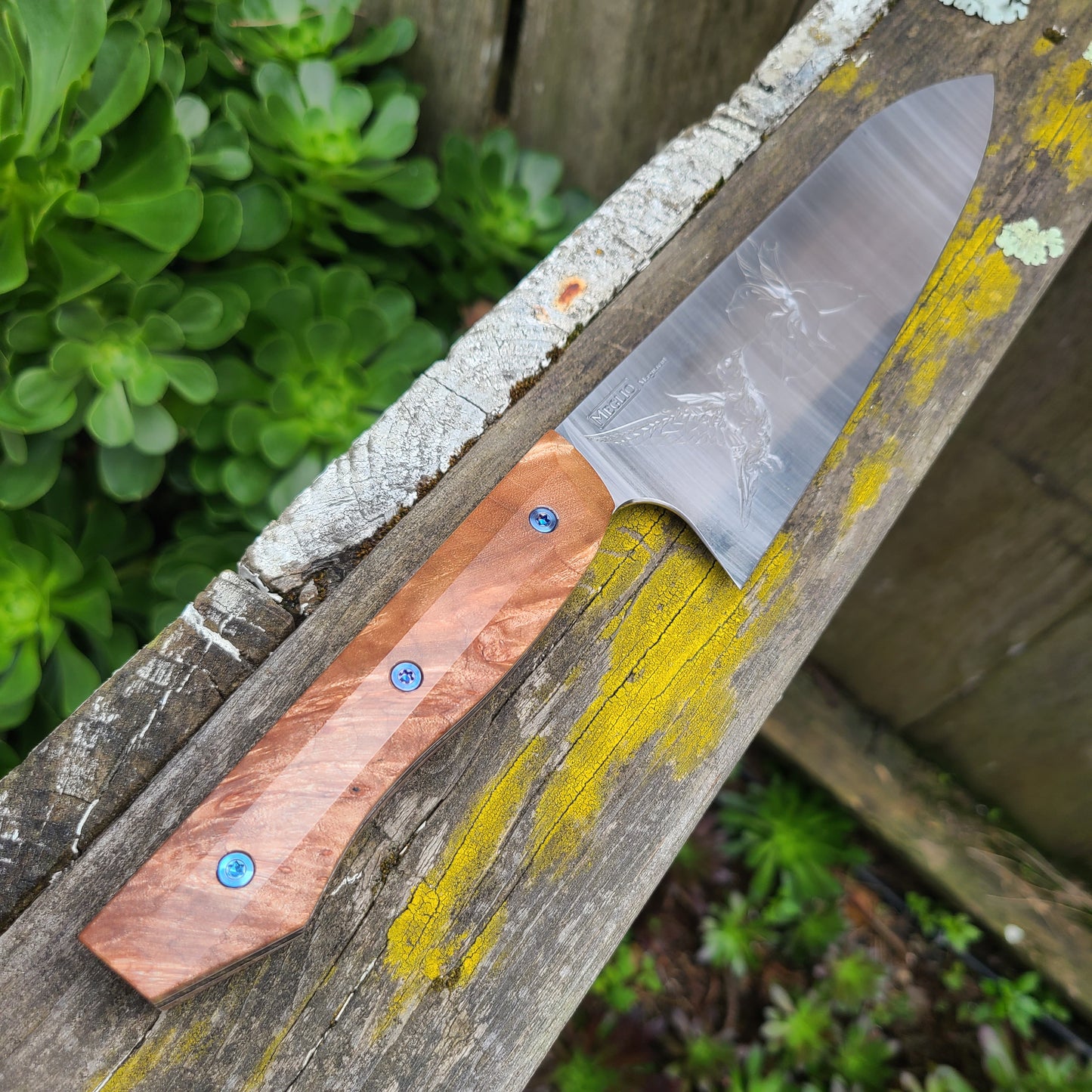 Meglio Knives Semi Custom 8" Satin Maple Hummingbird Magnacut Gyuto