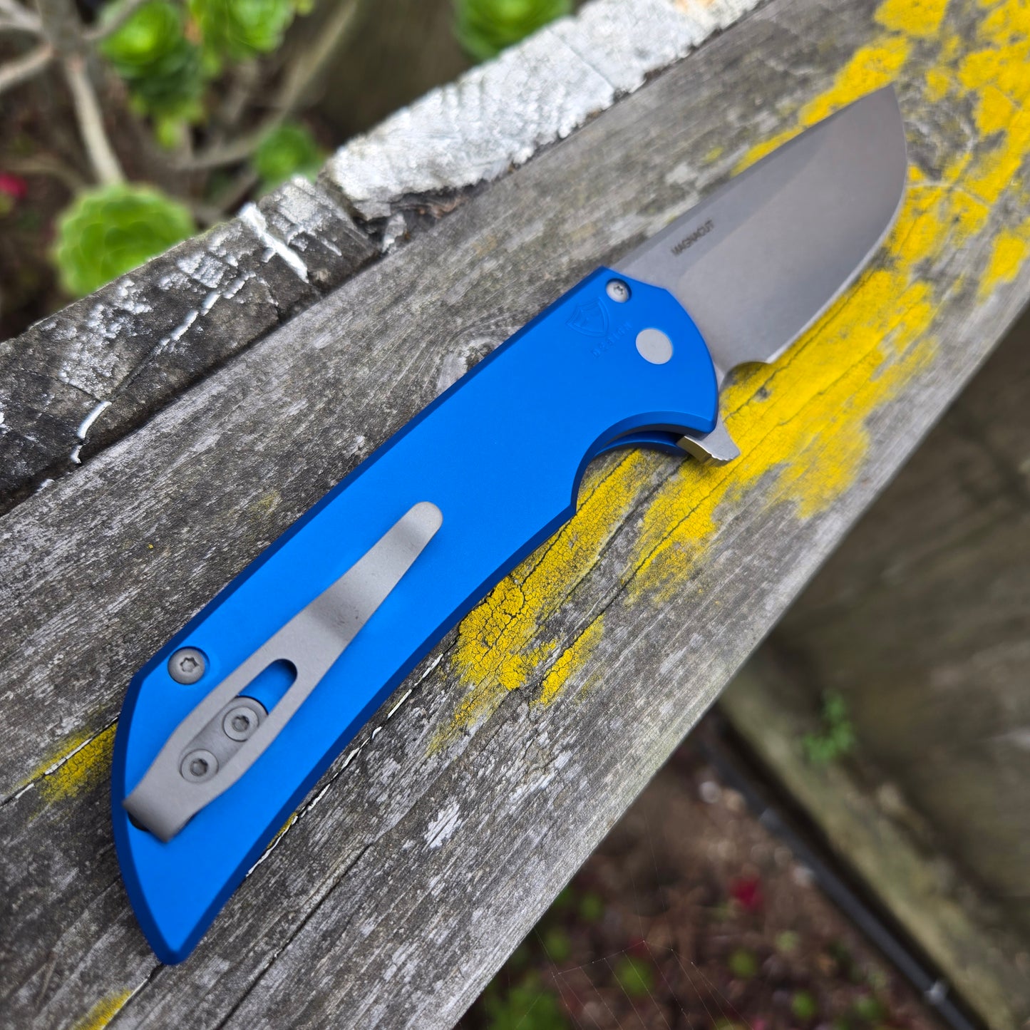 Protech MX101-Blue Mordax Magnacut Folder