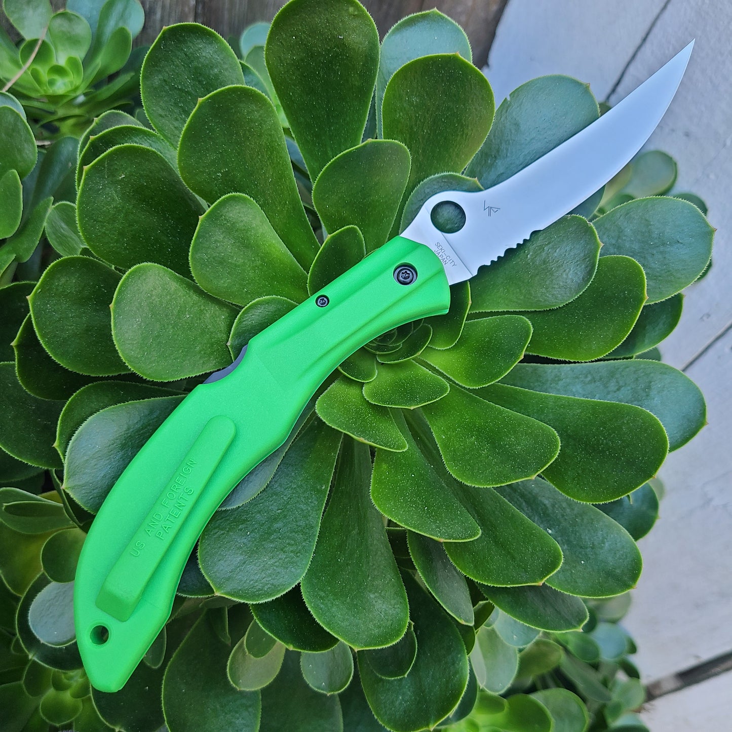 Spyderco C17PSGR Catcherman Salt Green LC200 Folder -SPRINT RUN-