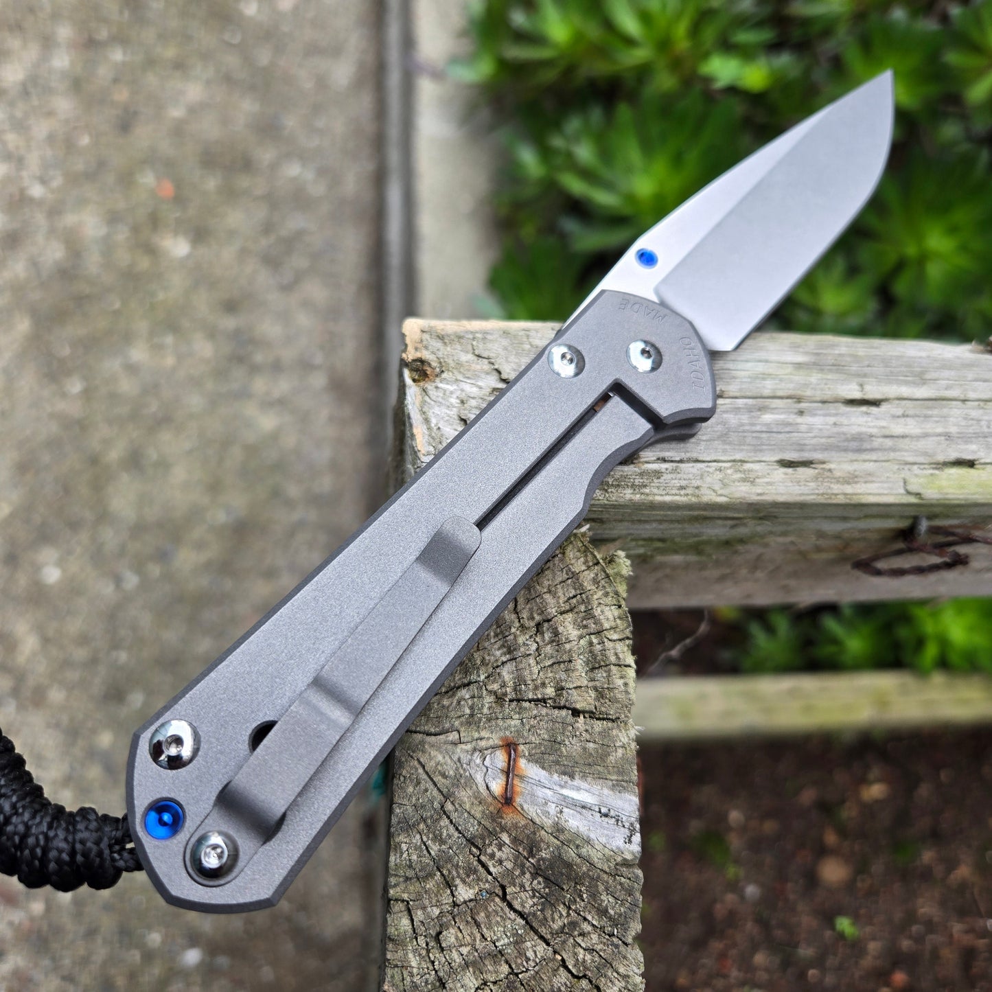 Chris Reeve L31-1000 Large Sebenza 31 Drop Point Magnacut Folder