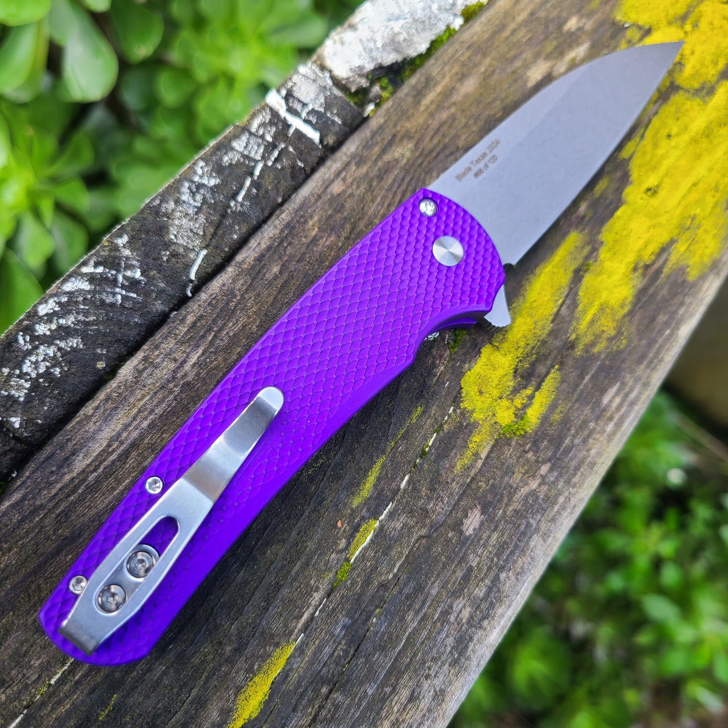 Protech Blade Texas 2024 Malibu Textured Purple Wharncliffe