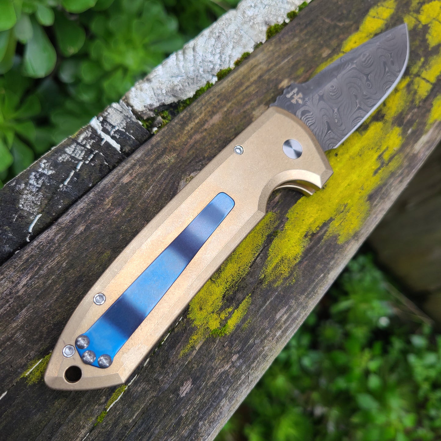 Protech 2024 Les George Rockeye Custom.001 AlBronze Nichols Damascus #4/60