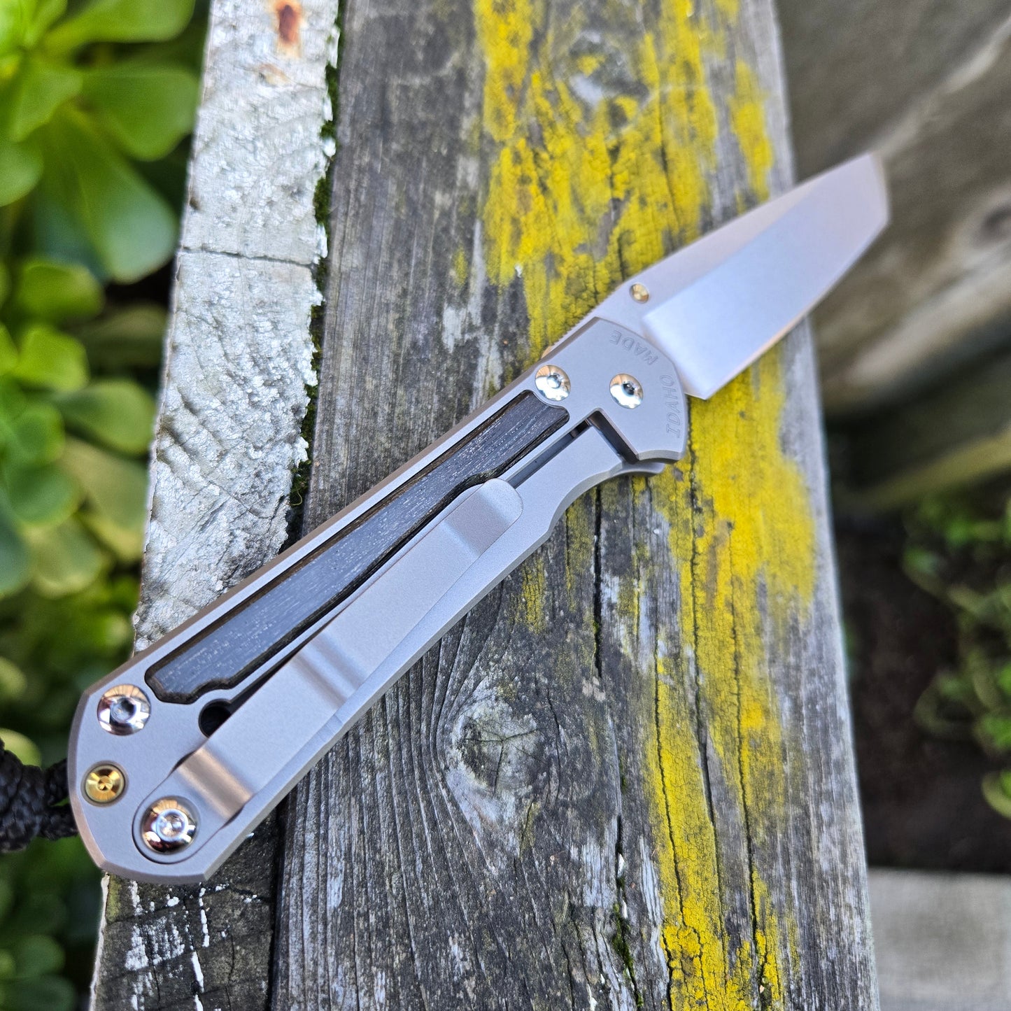 Chris Reeve S31-1130 Small Sebenza 31 Magnacut Tanto Bog Oak Folder