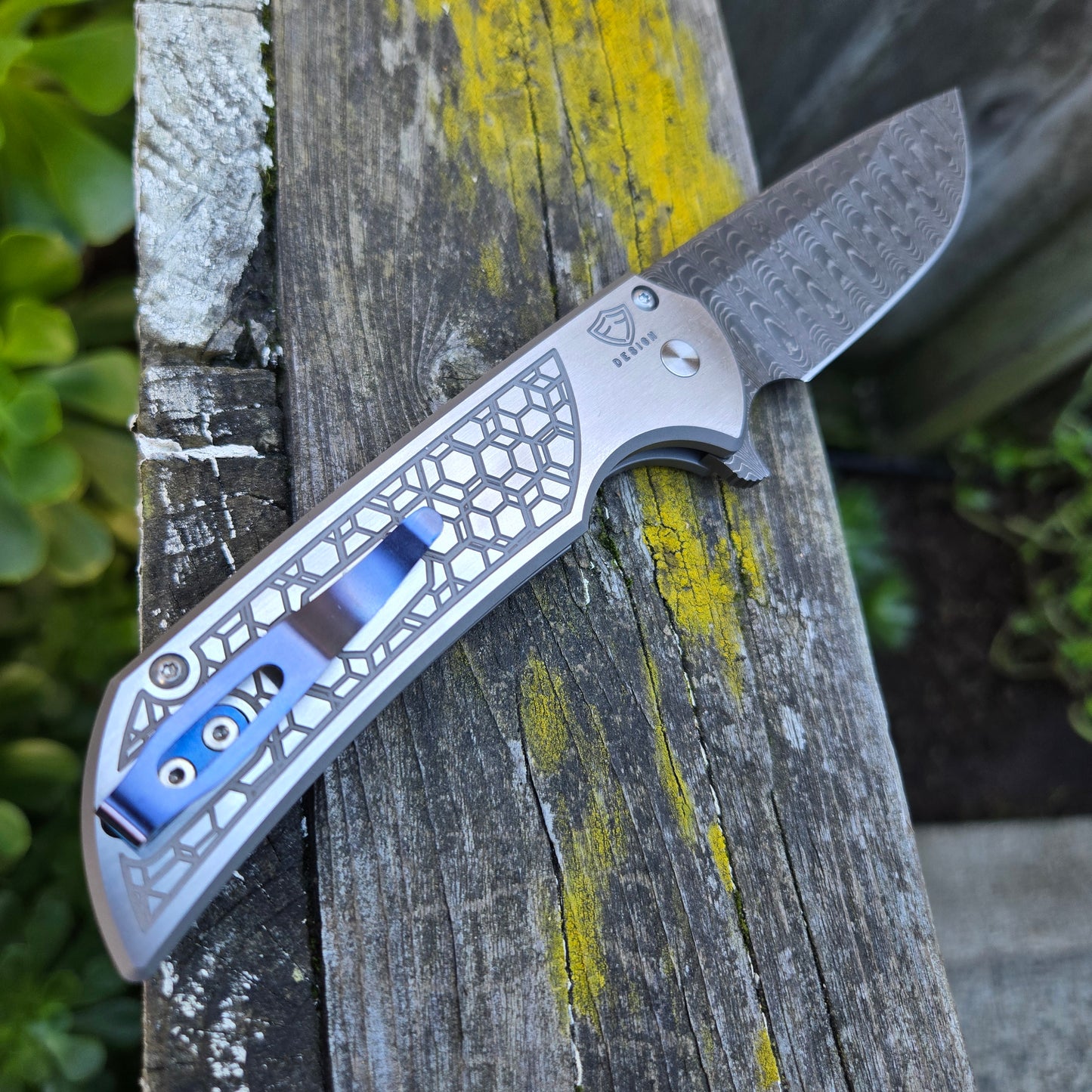Protech Blade Show West 2024 Mordax Custom 003 Stainless Steel Vegas Forge Folder #2/50