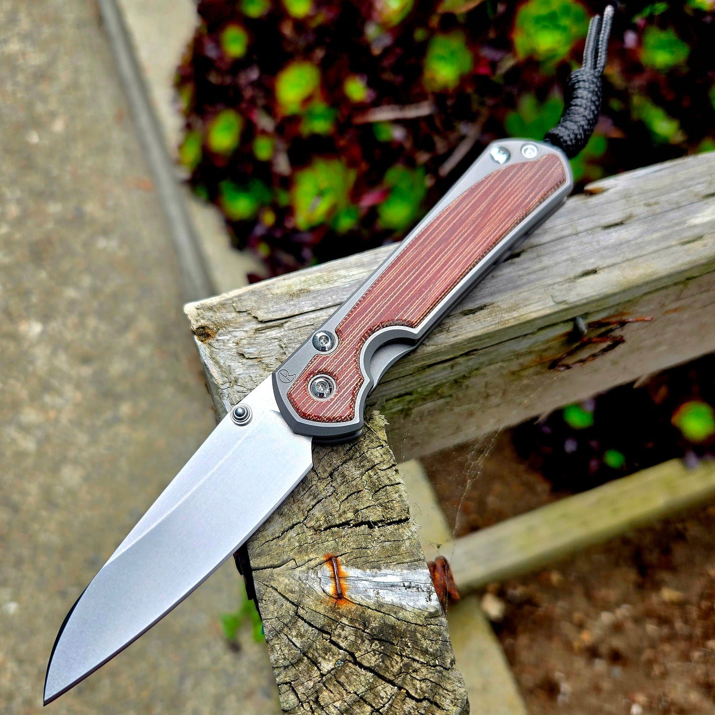 Chris Reeve S31-1226 Small Sebenza 31 Insingo Natural Canvas Micarta Folder