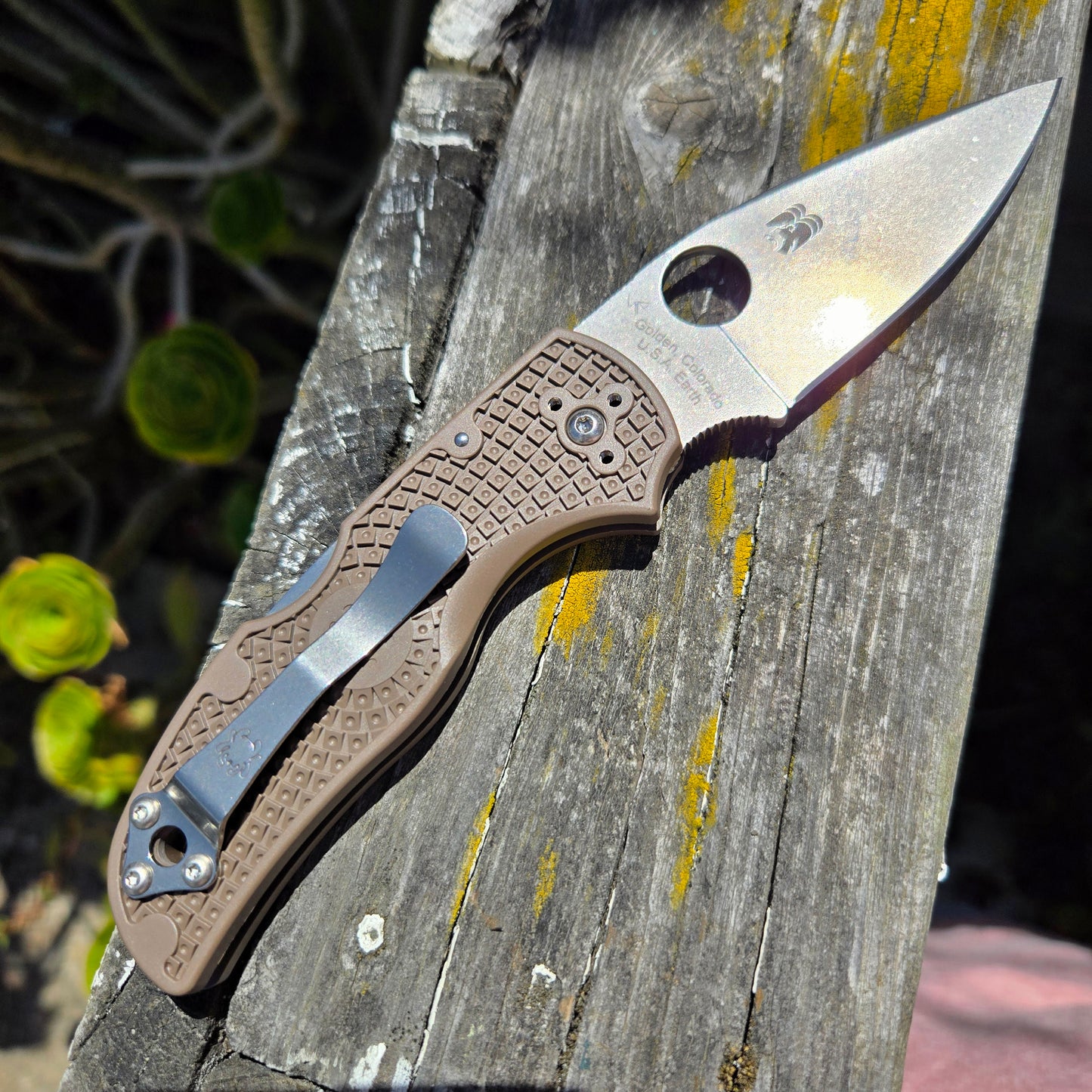 Spyderco C41PBN15V5 Native 5 Brown FRN CPM-15V Folder -SPRINT RUN-