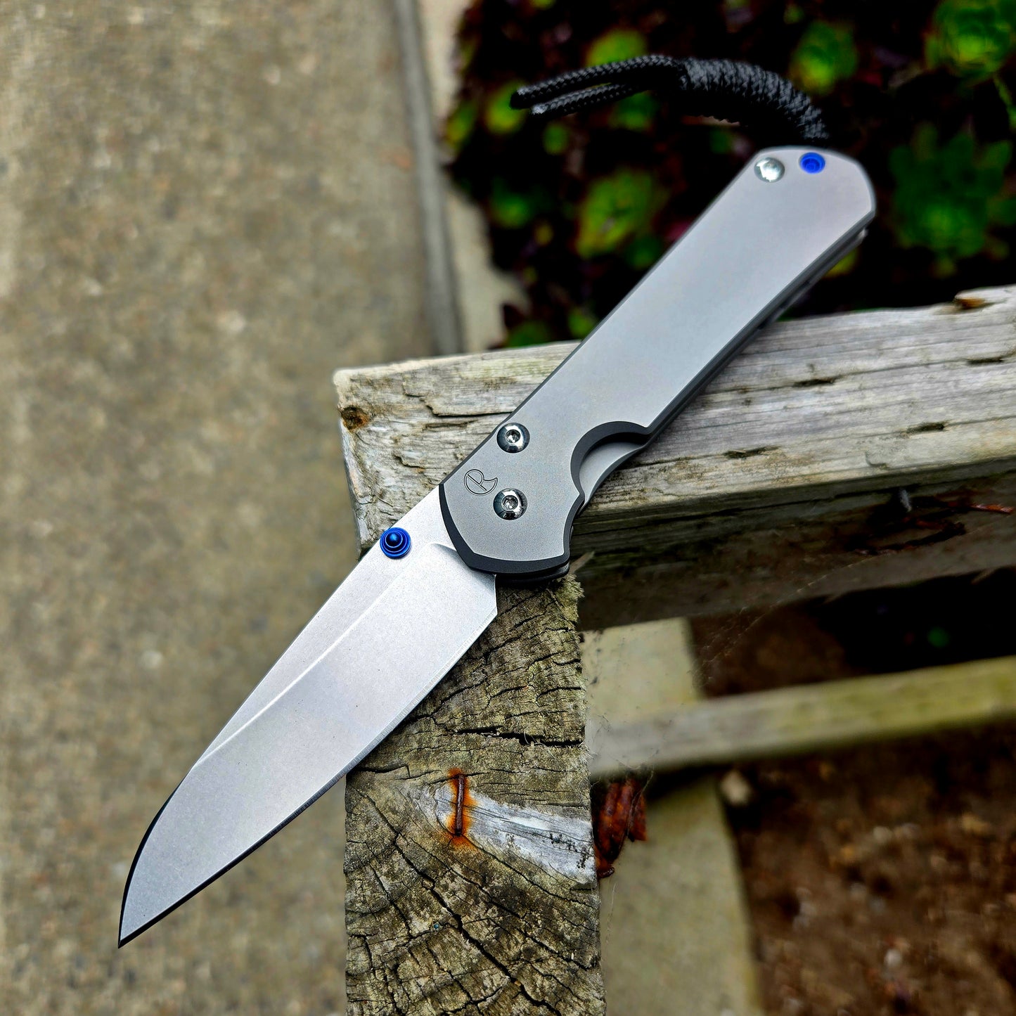 Chris Reeve S31-1685 Small Sebenza 31 Insingo Folder