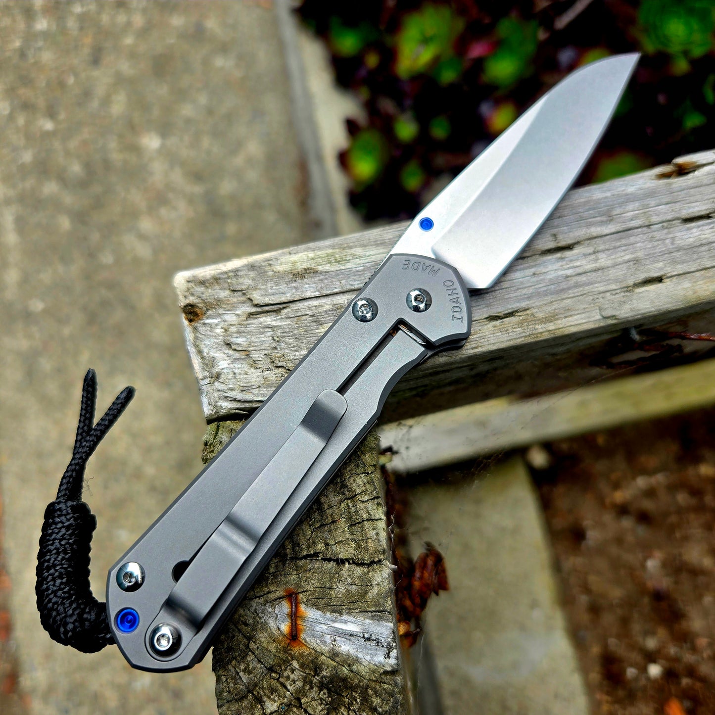 Chris Reeve S31-1685 Small Sebenza 31 Insingo Folder