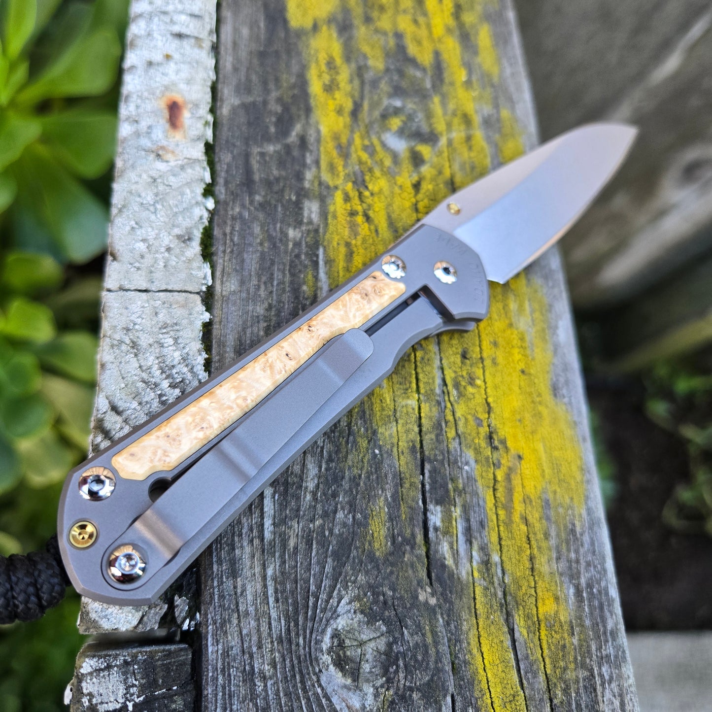 Chris Reeve S31-1126 Small Sebenza 31 Magnacut Insingo Box Elder Folder