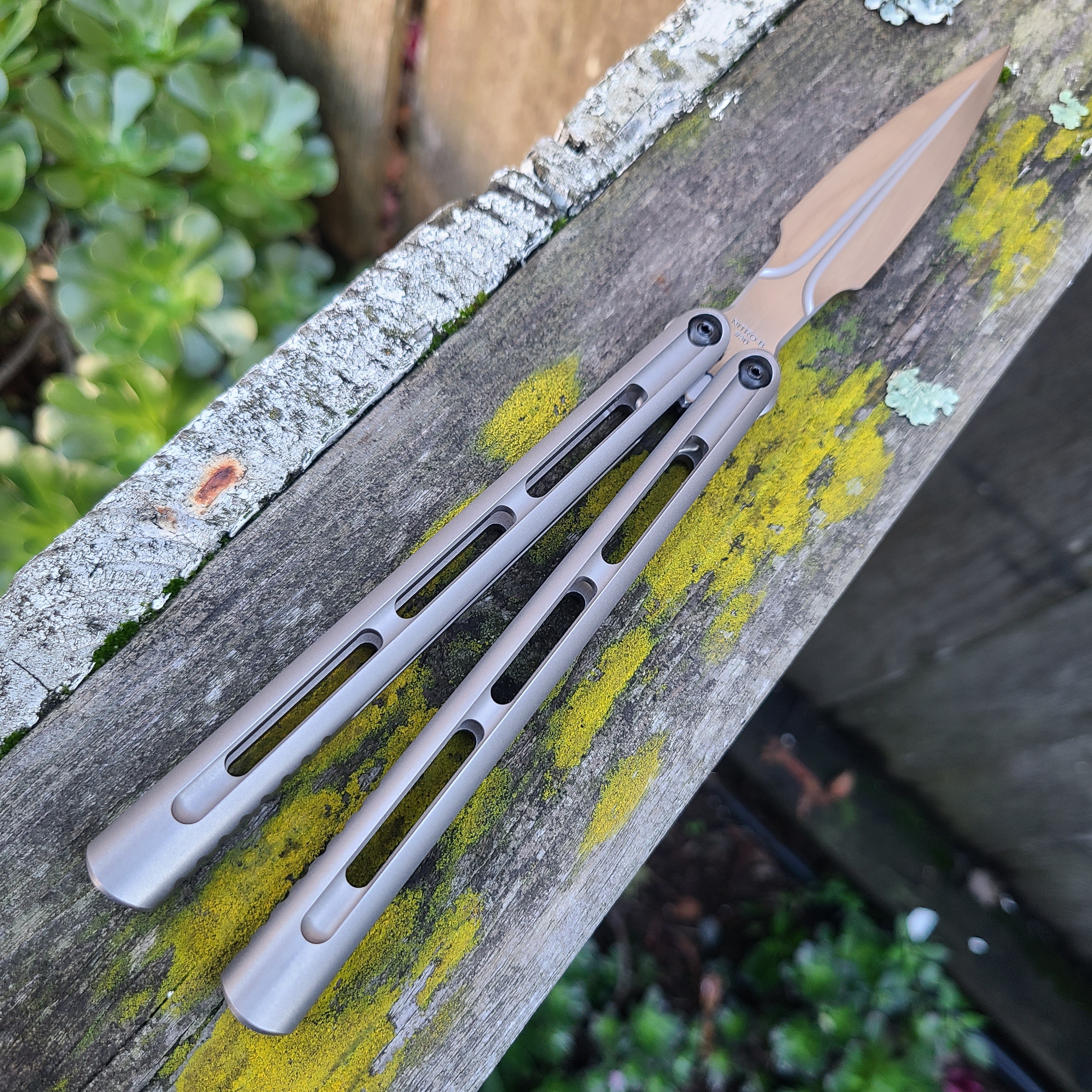 Davide Ceroni Custom Integralis II Titanium Nitro-B Balisong