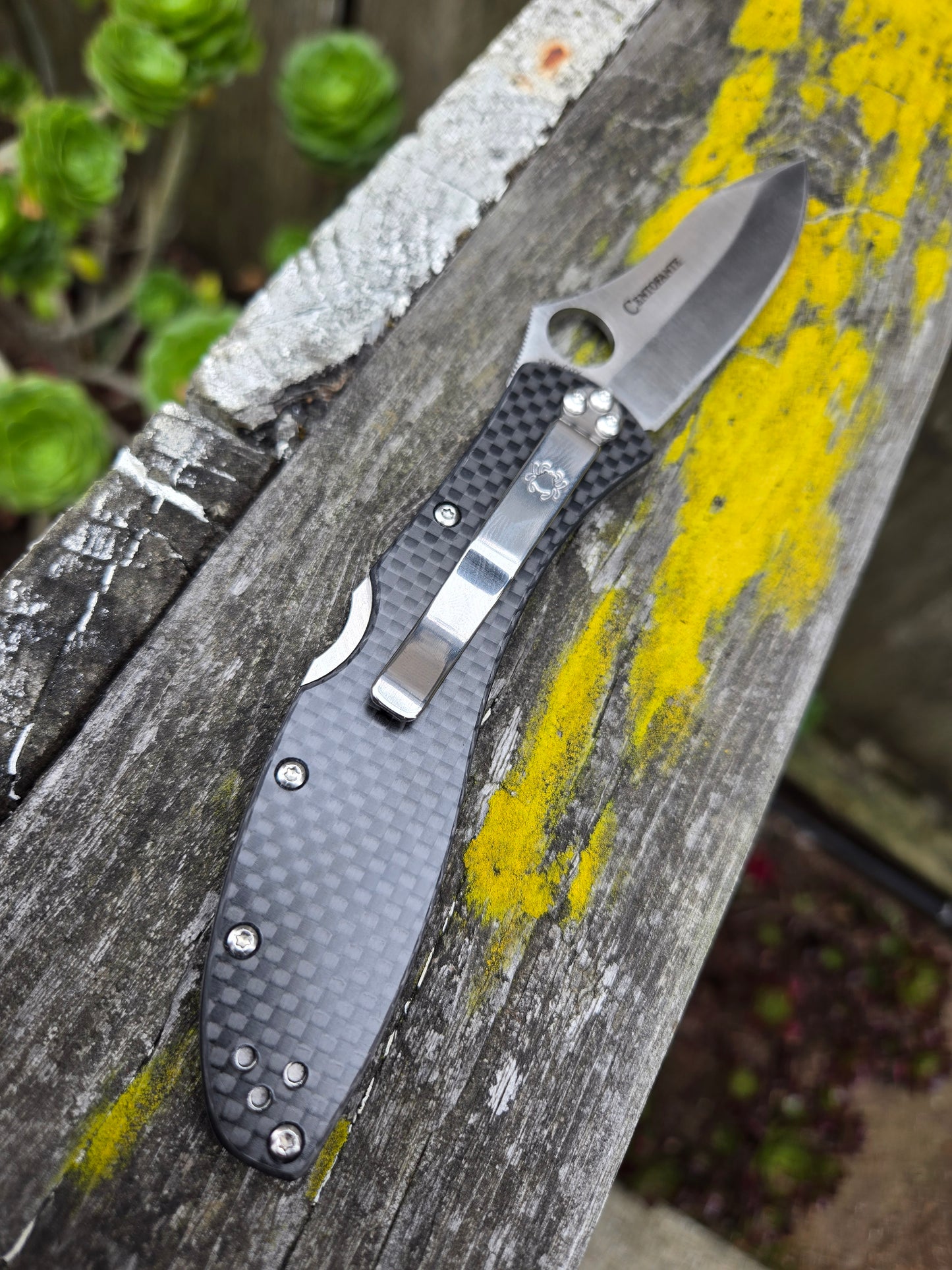 Spyderco C66CFP3 Centofante 3 Carbon Fiber Cruwear Folder