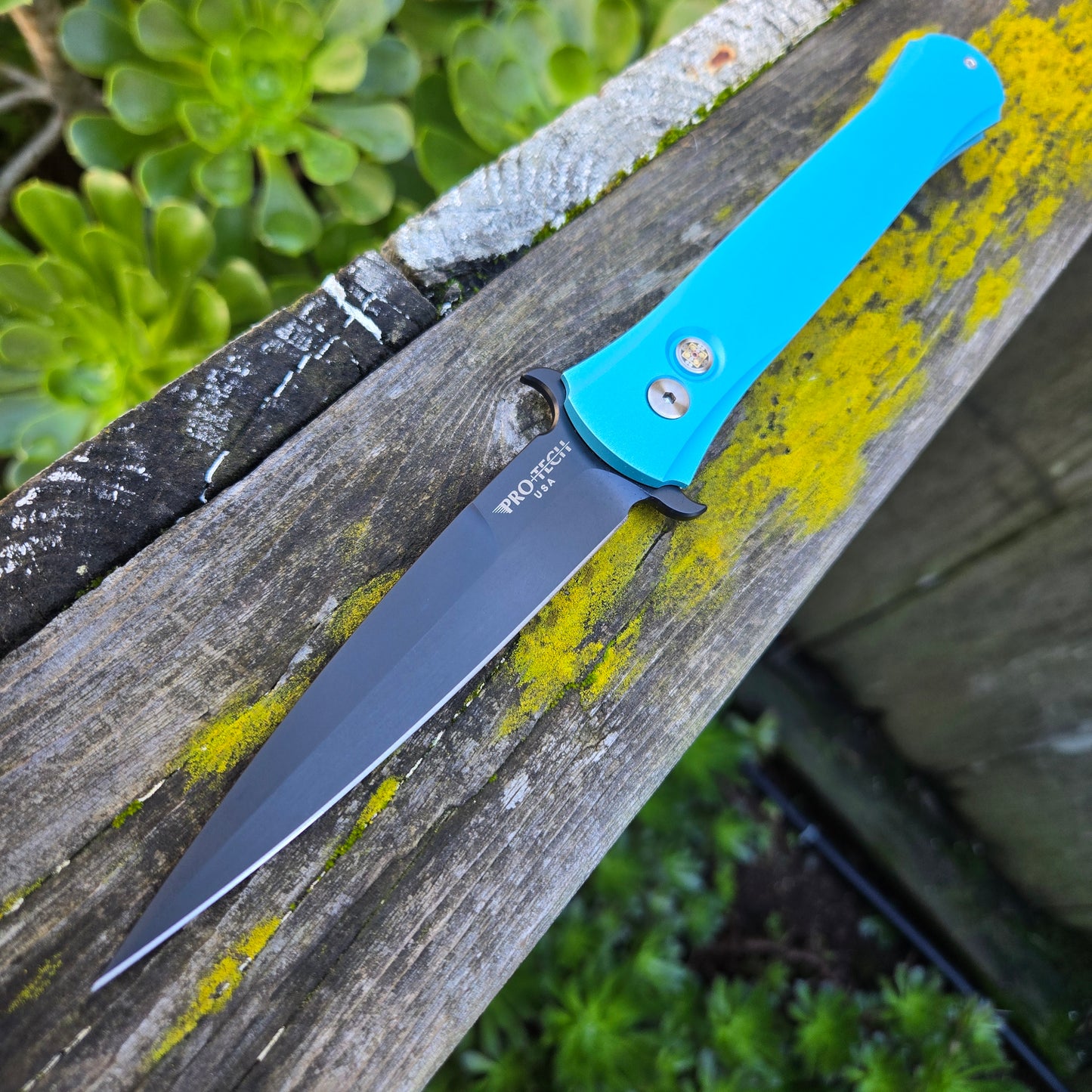 Protech 2025 CCKS Spring Don.1 Blue Auto *PROTOTYPE*