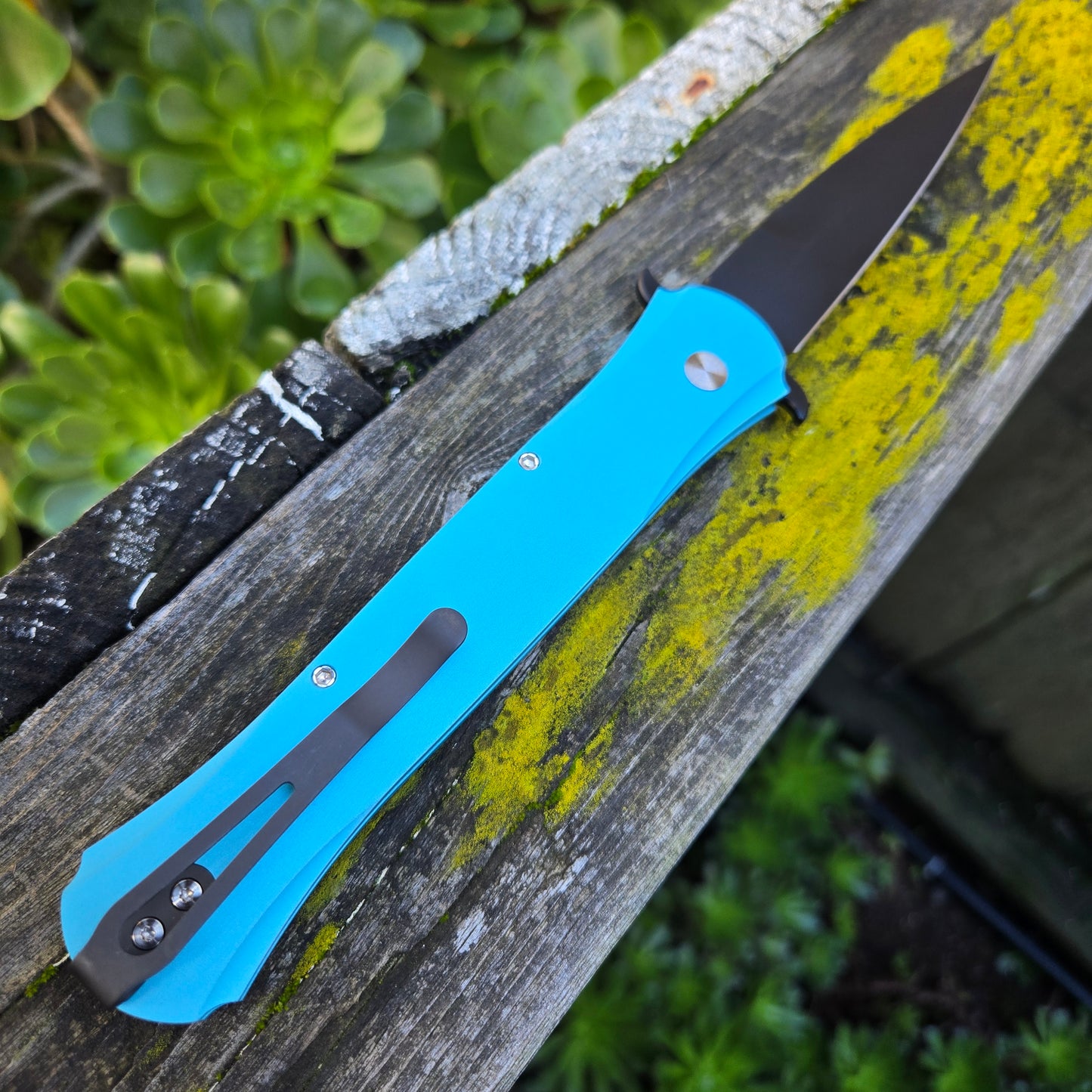 Protech 2025 CCKS Spring Don.1 Blue Auto *PROTOTYPE*