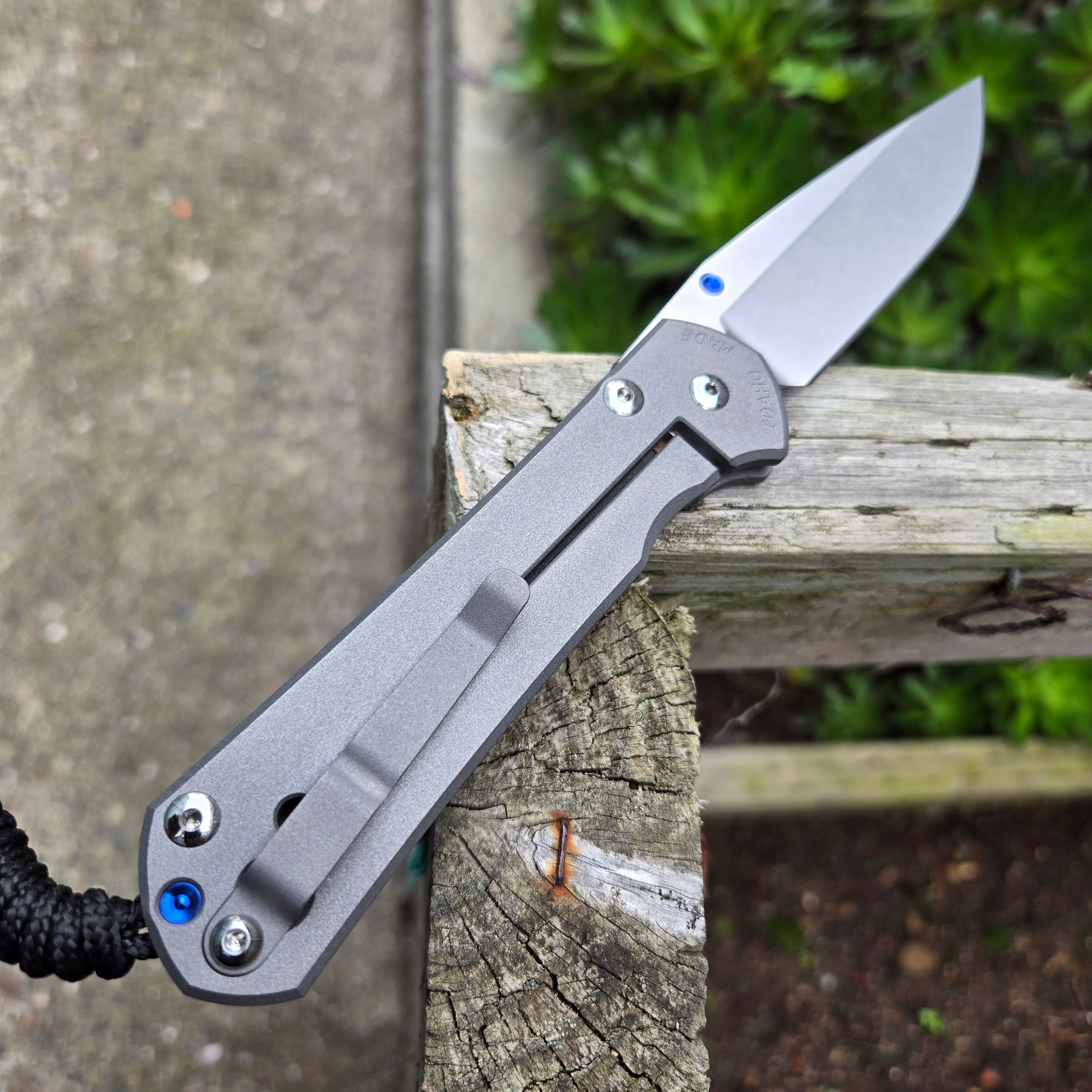 Chris Reeve L31-1000 Large Sebenza 31 Drop Point Magnacut Folder