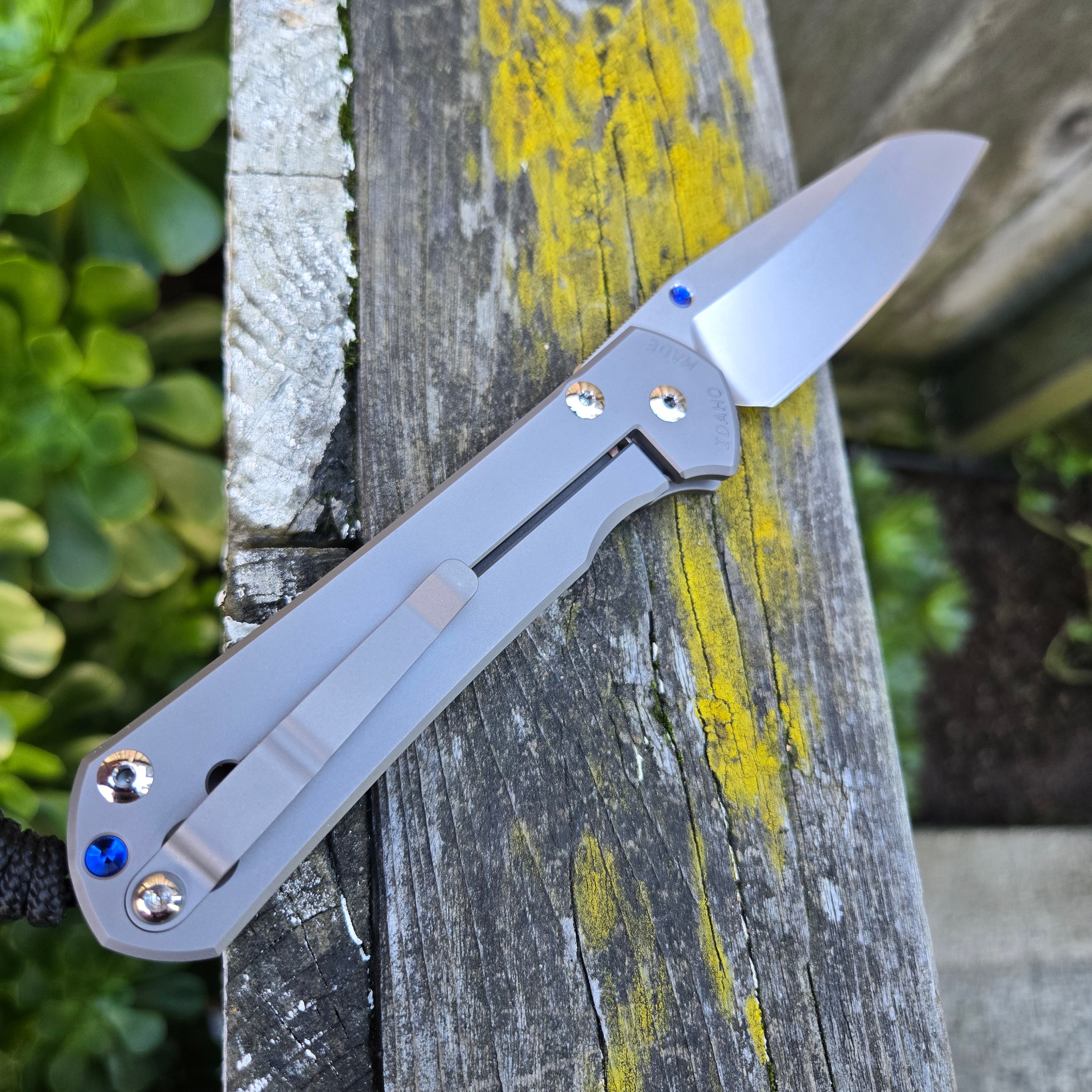 Chris Reeve L31-1685 Large Sebenza 31 Insingo Magnacut Folder