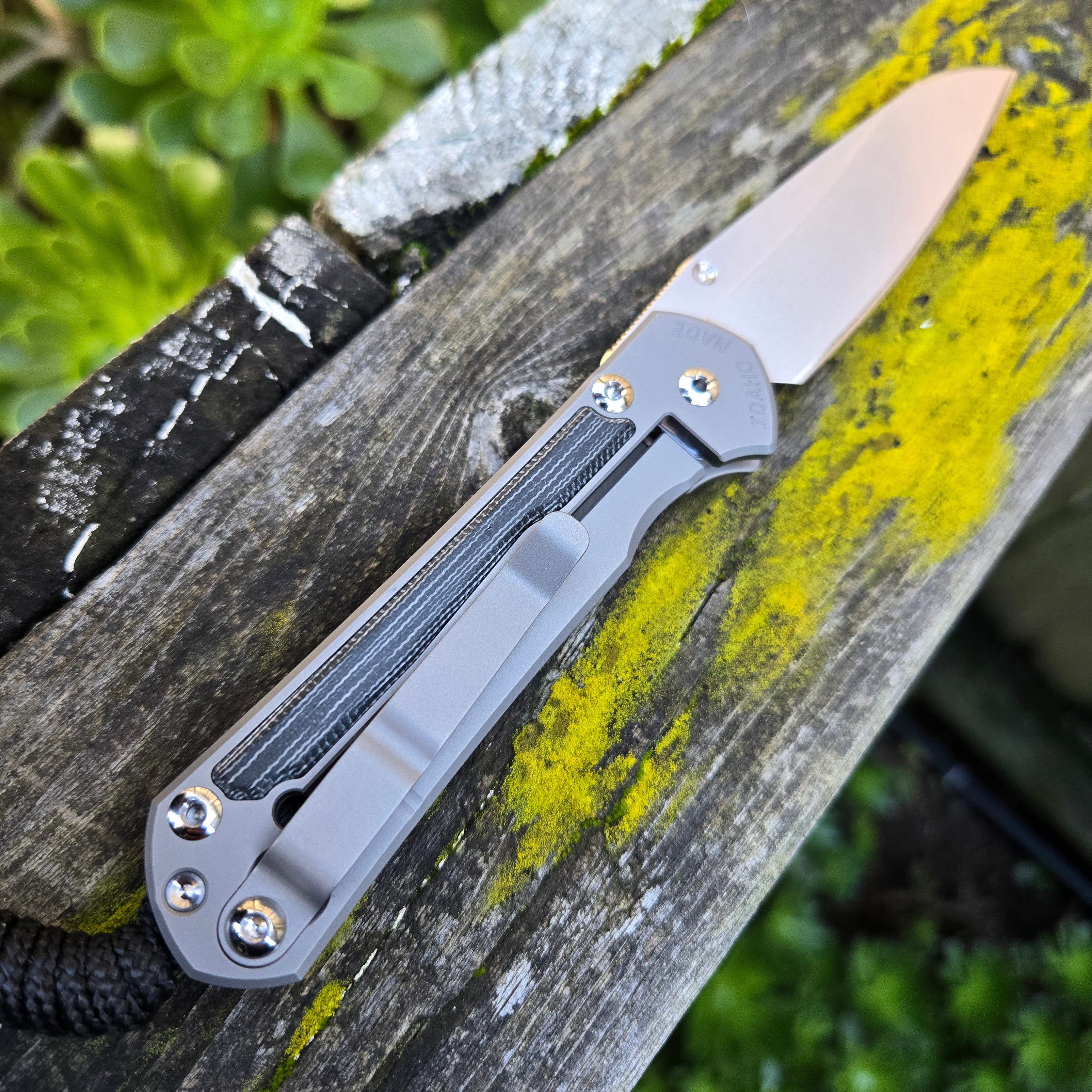 Chris Reeve S31-1224 Small Sebenza 31 Magnacut Insingo Black Micarta Folder