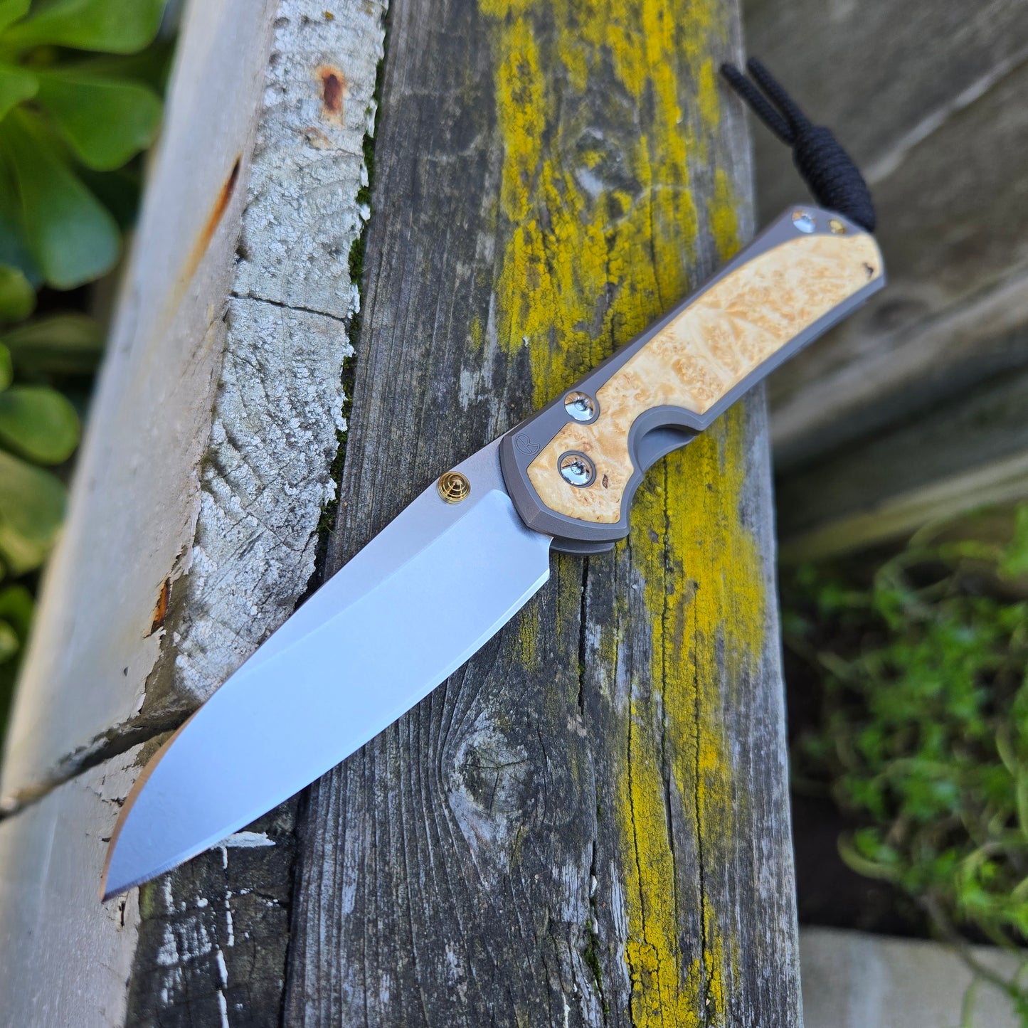 Chris Reeve S31-1126 Small Sebenza 31 Magnacut Insingo Box Elder Folder