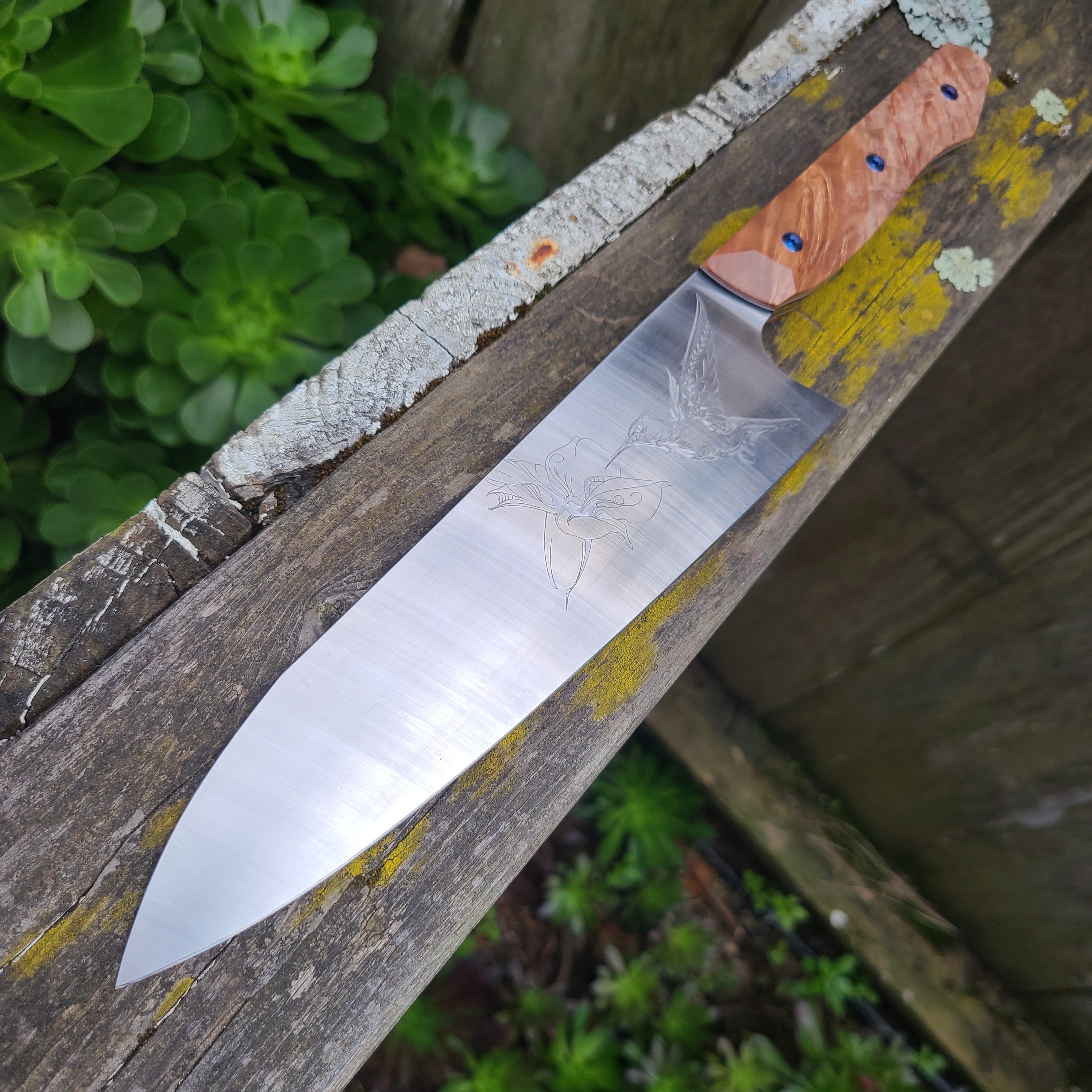 Meglio Knives Semi Custom 8" Satin Maple Hummingbird Magnacut Gyuto