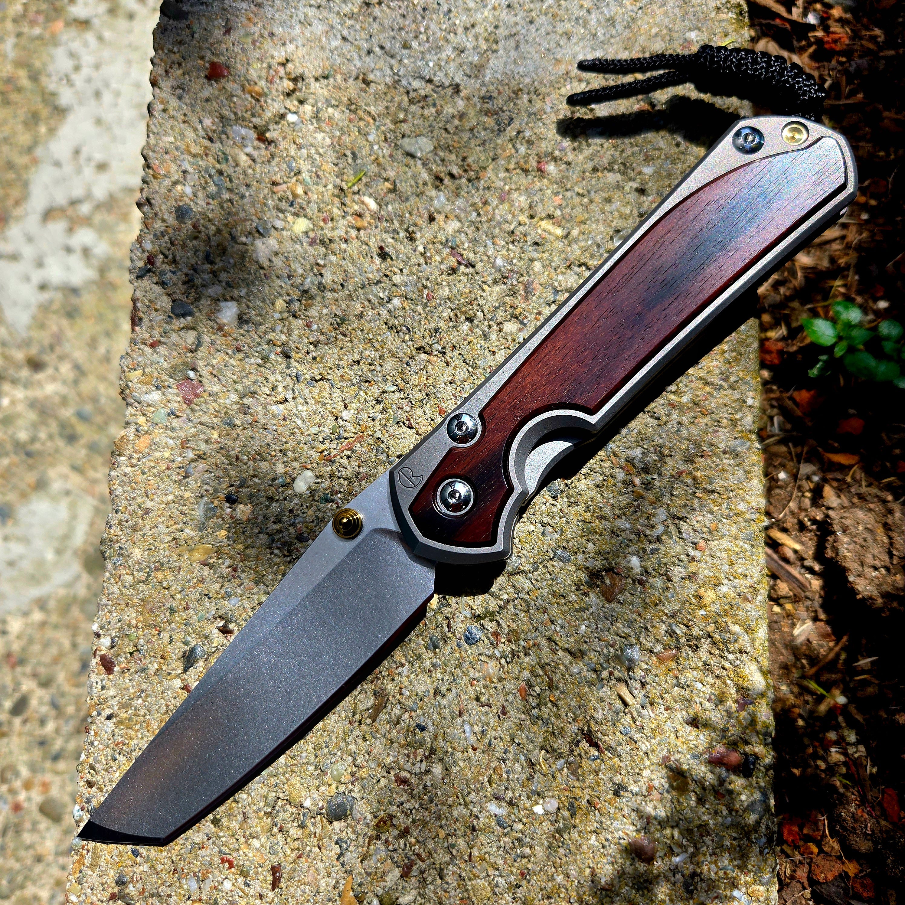 Chris Reeve L31-1134 Large Sebenza 31 Tanto Magnacut Macassar Ebony Folder